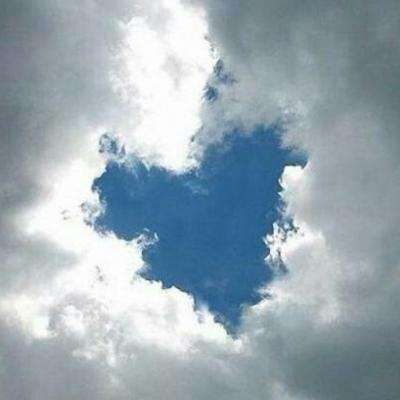 B体育·(sports)官方网站下载手机版截图