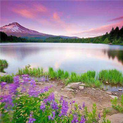 大发彩票app手机app下载